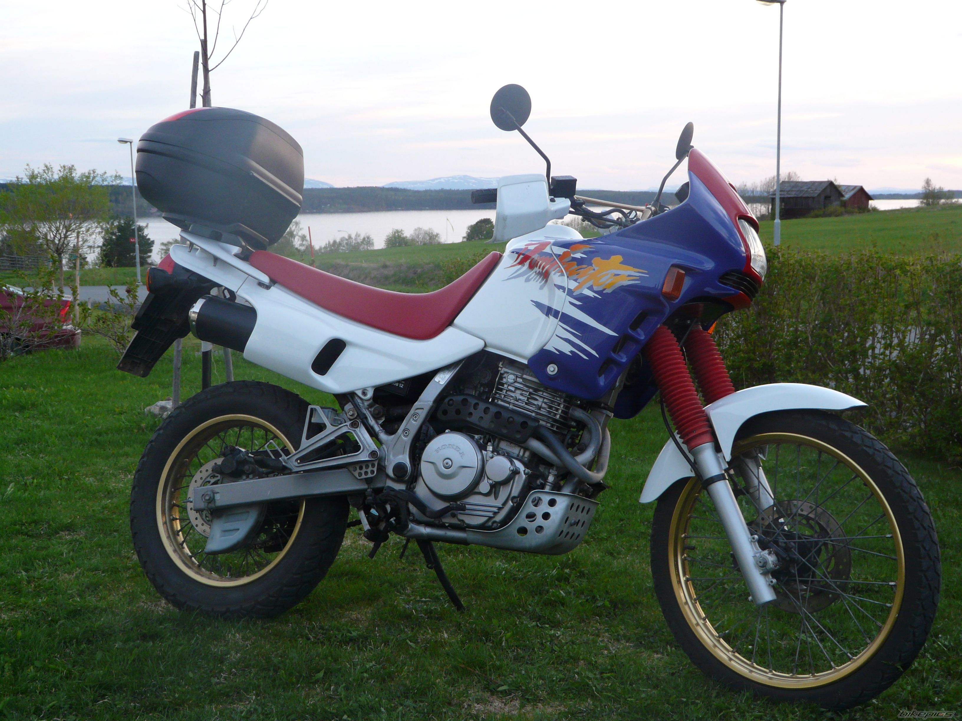 1995 Honda NX650 Dominator #9