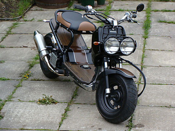 2009 Honda Ruckus #10