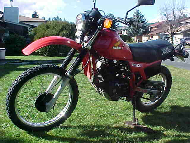 1982 Honda XL250R #7