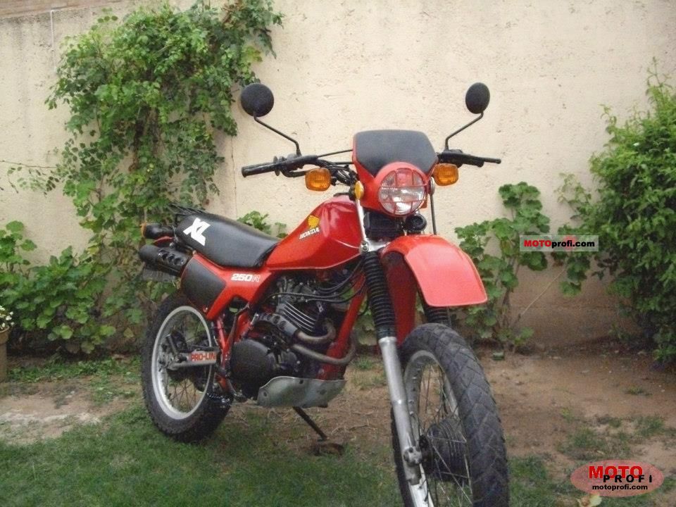 1983 Honda XL250R #9