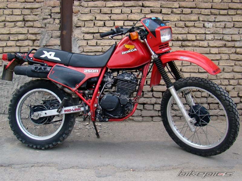 1984 Honda XL250R #8