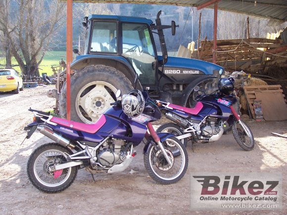 1992 Kawasaki KLE500 #10