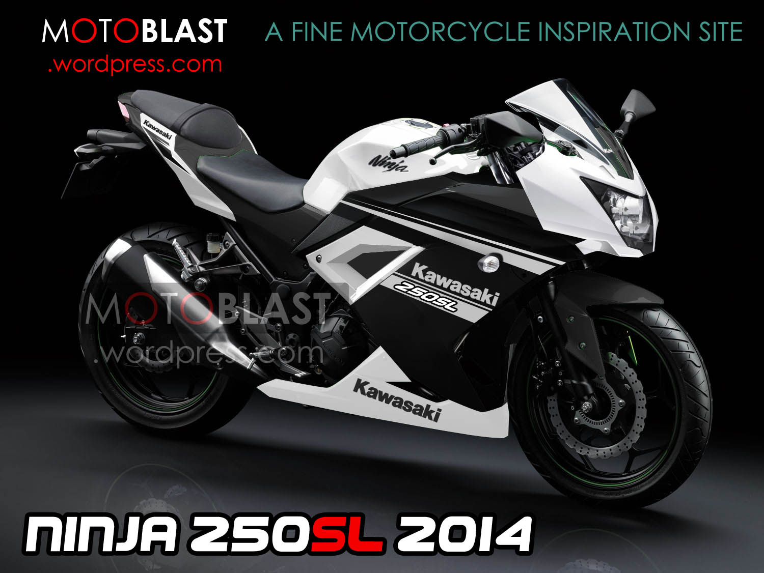 2014 Kawasaki Ninja 250R #8