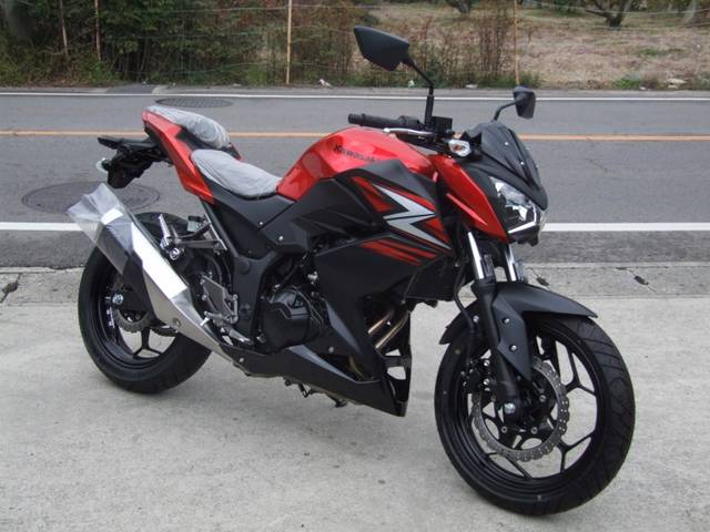 2014 Kawasaki Z250 #9