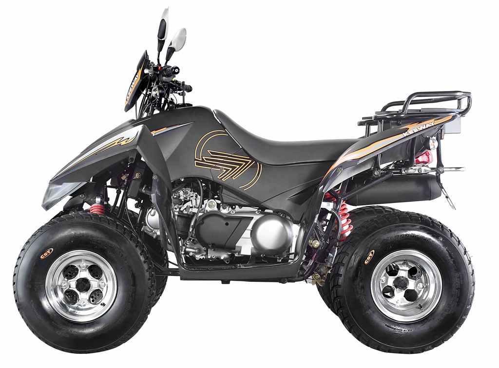 2009 Keeway ATV 100 #7