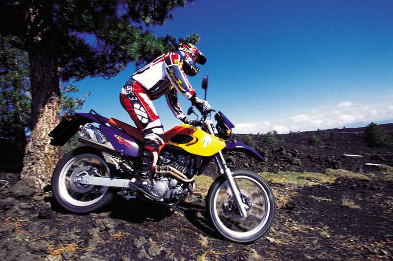 MZ 660 Supermoto S #7