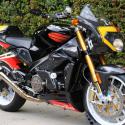 2003 Aprilia Tuono Racer 1000