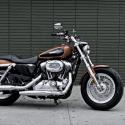 2013 Harley-Davidson 1200 Custom 110th Anniversary