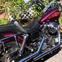 1997 Harley-Davidson Dyna Wide Glide