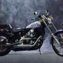 1990 Harley-Davidson FXSTC 1340 Softail Custom