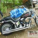 1992 Harley-Davidson FXSTC 1340 Softail Custom