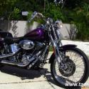 2000 Harley-Davidson FXSTS Springer Softail