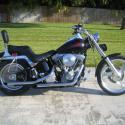 1999 Harley-Davidson Softail Standard