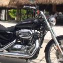 2009 Harley-Davidson XL1200C Sportster 1200 Custom