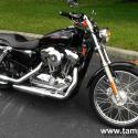 2010 Harley-Davidson XL1200C Sportster 1200 Custom