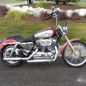 2004 Harley-Davidson XL1200C Sportster Custom