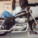 2003 Harley-Davidson XL883C Sportster 883 Custom