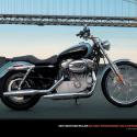 2010 Harley-Davidson XL883C Sportster 883 Custom