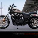 2007 Harley-Davidson XL883R Sportster R