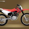 2012 Honda CRF230F