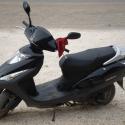 Honda Elite