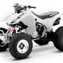 2009 Honda TRX300X