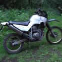 1991 Honda XL600V Transalp (reduced effect)