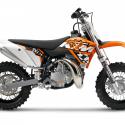 2014 KTM 50 SX Mini