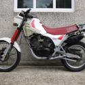 1985 Moto Morini 501 Camel