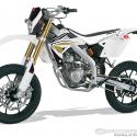 2009 Sherco SM 125-F