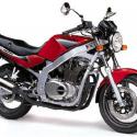 1990 Suzuki GS 500 E (reduced effect)