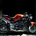 2008 Triumph Speed Triple