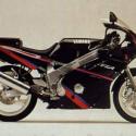 1991 Yamaha FZR 600