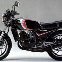 1982 Yamaha RD 250 LC (reduced effect)
