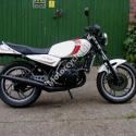 Yamaha RD 250 LC (reduced effect)