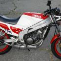1986 Yamaha RD 350 F (reduced effect)