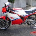 1987 Yamaha RD 350 F (reduced effect)