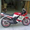 1988 Yamaha RD 350