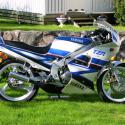 1991 Yamaha TZR 125