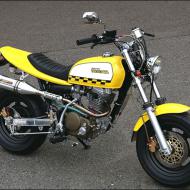 Honda Ape 100