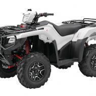 Honda FourTrax Foreman Rubicon