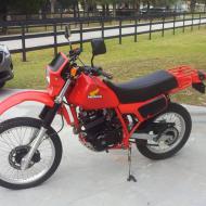 Honda XL350R