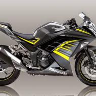 Kawasaki Ninja 250 ABS Special Edition