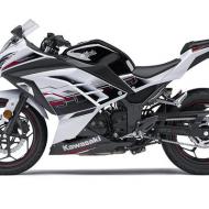 Kawasaki Ninja 300 SE