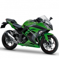 Kawasaki Ninja 300 Special Edition