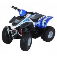 Keeway ATV 100