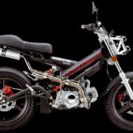 Sachs MadAss 125