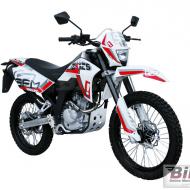 Sachs ZX 125