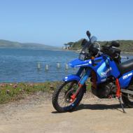 Suzuki DR Big 750 S (reduced effect)