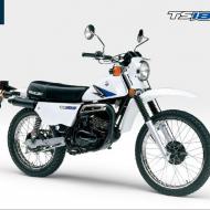 Suzuki TS 185 ER